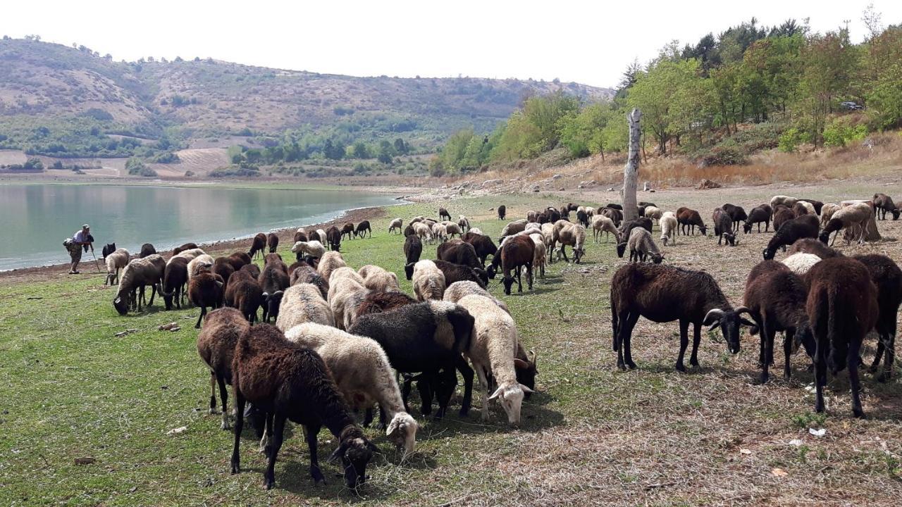 Appartamento Fiuggi Terme Dış mekan fotoğraf